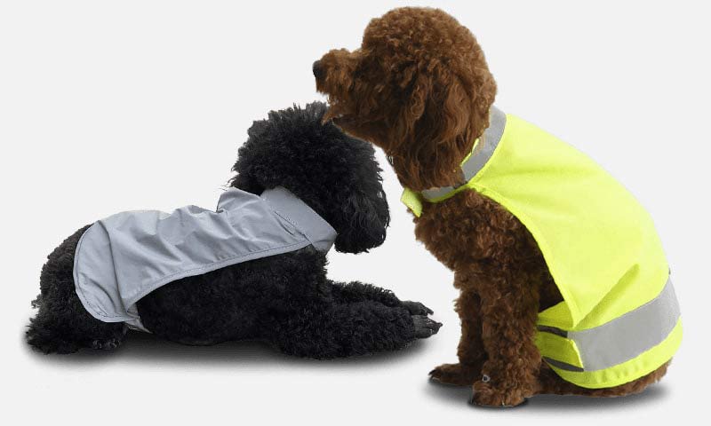 Pet Safety Vest